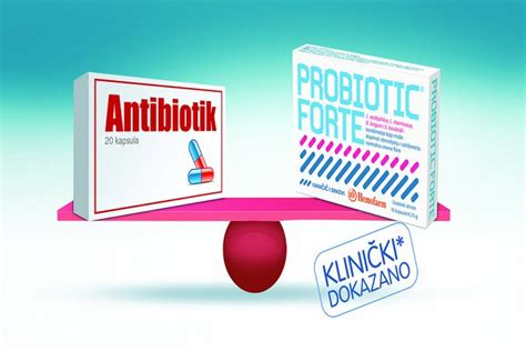 Utjecaj Antibiotika Na Crijevnu Floru Značaj Probiotika U Terapiji