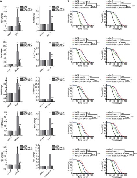 Figures And Data In H K Me Methylation Limits The Lifespan Of Daf