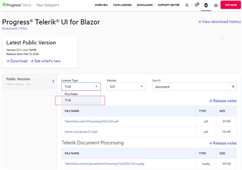 How To Upgrade Trial To Licensed Version Telerik Document Processing