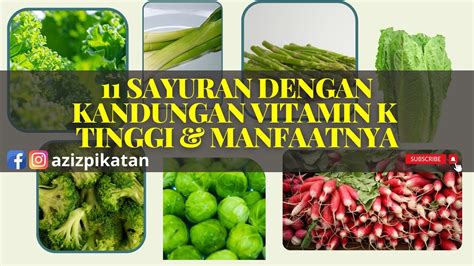 Sayuran Yang Mengandung Vitamin K Tinggi Dan Manfaatnya Youtube