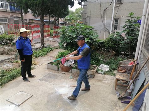 开展“毁绿种菜”整治 东街社区“还绿于民” 今日镇江