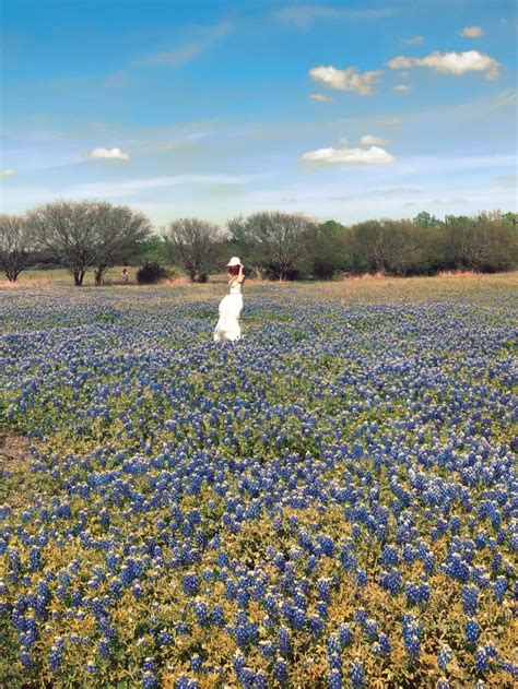 Bluebonnets, It’s A Season In Texas – For The Love Of She