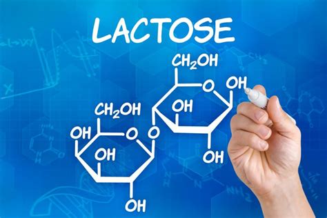 Causes Of Lactose Intolerance Facty Health