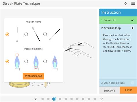 LearnSci LabSim: Streak Plate Technique