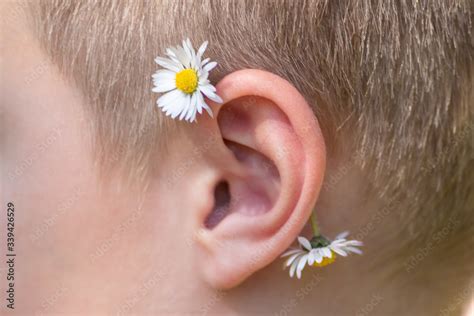 Foto de Europäischer Junge mit Blüte hinterm Ohr doppeltes