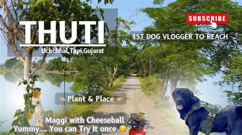 Thuti 1st Dog Vlogger To Reach 🐾ukai Dam Water Catchment 💦⛰️ The