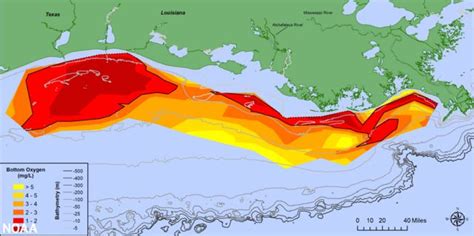 Zona Muerta Del Golfo De M Xico La Preocupante Expansi N De Esta