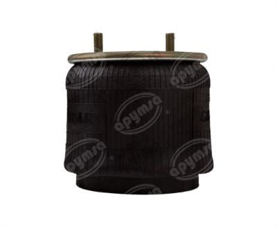 Bolsa De Aire Rolling Lobe Hendrickson Goodyear R