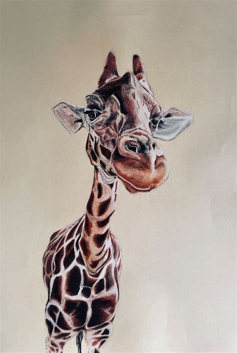 Girafe 2 Drawing By Rémi Capobianco Artmajeur