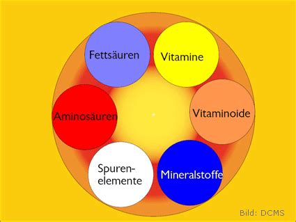 Mikronährstoffe erfüllen lebenswichtige Stoffwechselfunktionen