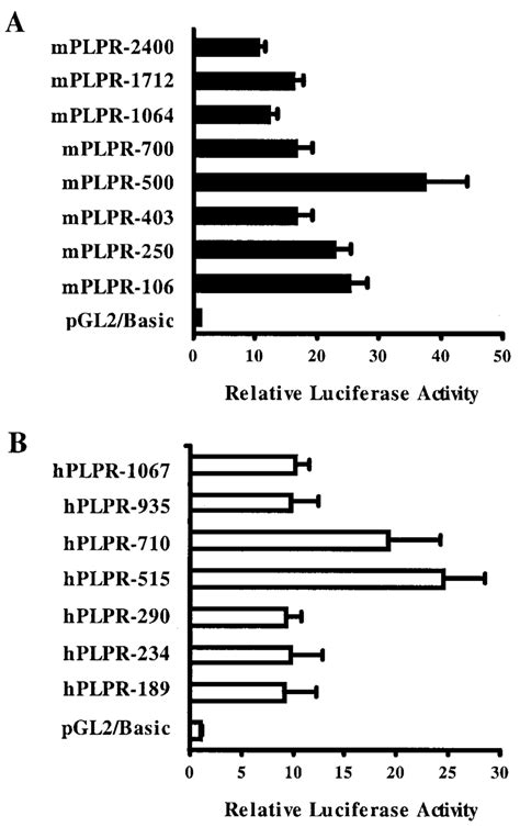 Comparison Of Promoter Activities Of Murine And Human Plasminogen Download Scientific Diagram