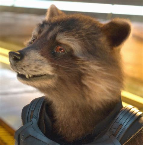 Rocket Raccoon Stuffed Animal in Leather Outfit