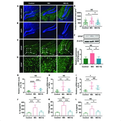 Quercetin Mitigated Astrocytes Activation And Neuroinflammatory