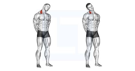 Neck Side Stretch Guide Benefits And Form