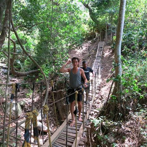 Mayan Jungle Canopy Zipline - Discover Roatan Excursions & Tours