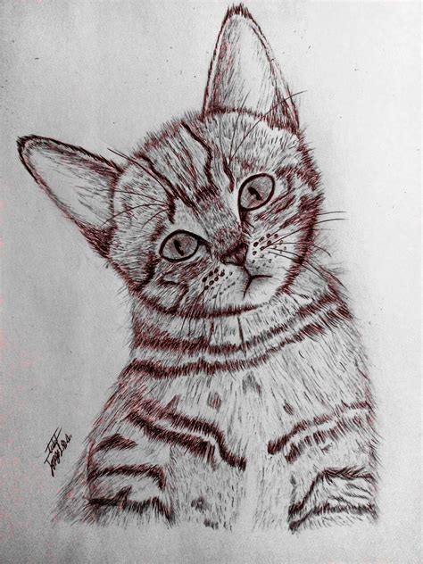 Descubrir 78+ gato dibujo realista facil mejor - vietkidsiq.edu.vn