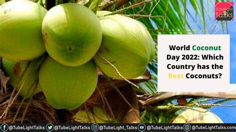 World Coconut Day Date Theme History Quotes Importance