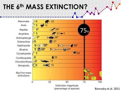 Mass.extinction