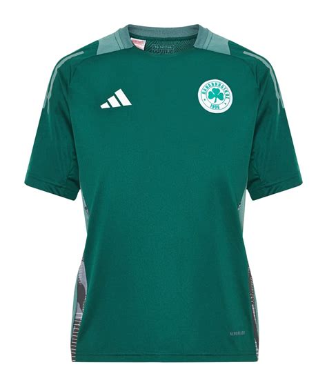 Panathinaikos 2024 25 Training Shirt