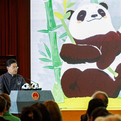 Opinion: China sends pandas abroad as envoys of goodwill but locks out ...