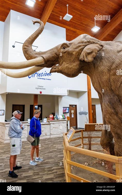 Visitors View The Mammoth Site Museum And Paleontological Site Hot Springs South Dakota Usa