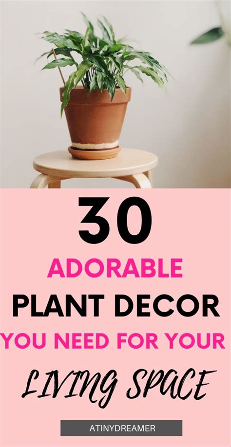 30 Plant Decors To Liven Up Your Living Space