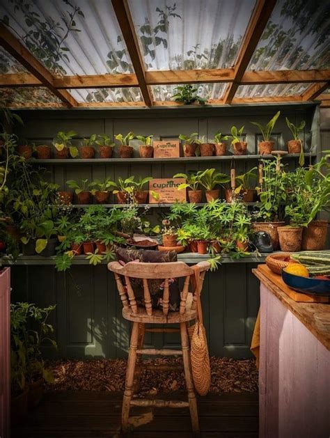 Cozy DIY Potting Shed Looks Like Its Out Of A Fairy Tale In 2024