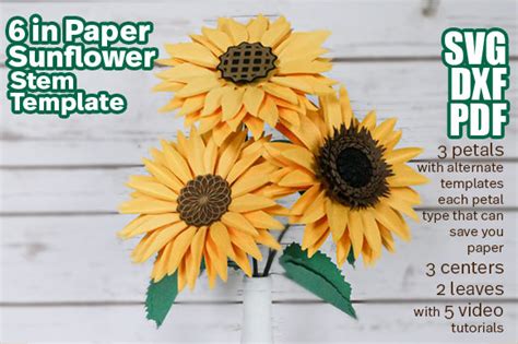 Paper Sunflower Stem Template Graphic By Deaney Weaney Blooms