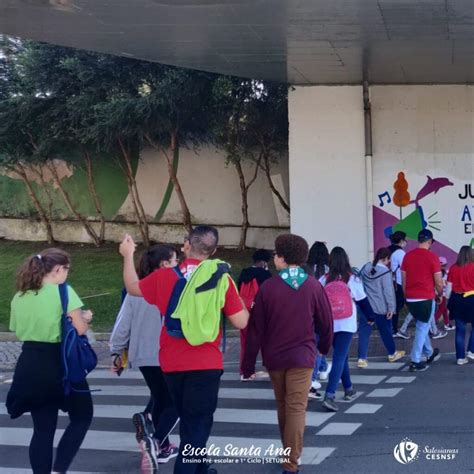 Salesianas De Set Bal Organizaram Caminhada Wyd Don Bosco Rumo Jmj