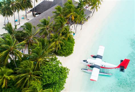 A surprising number of people fail ca pharmacy license verification 13