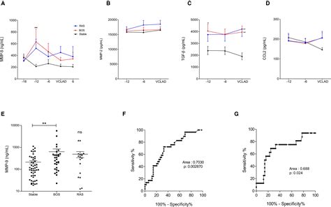 T Cells Promote Bronchial Epithelial Cell Secretion Of Matrix Metalloproteinase 9 Via A C C