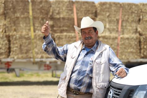 Entregan Alimento Para Ganado A Productores Celayenses Contexto NN