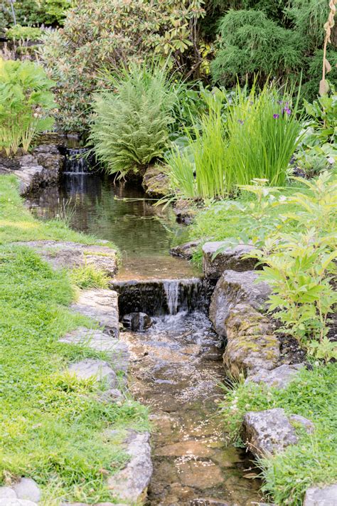 Innovative Backyard Stream Ideas With Pictures