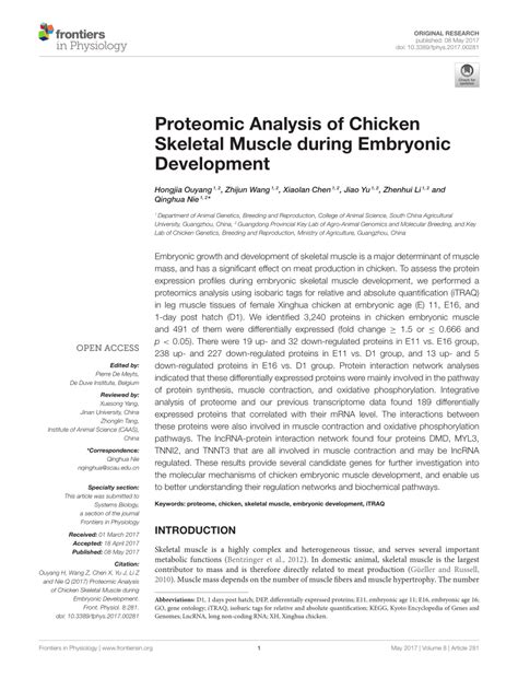 PDF Proteomic Analysis Of Chicken Skeletal Muscle During Embryonic