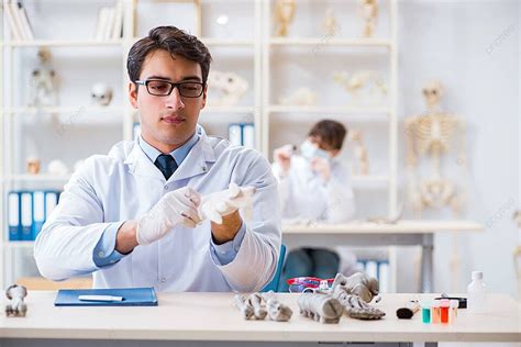 Fondo Profesor Estudiando Esqueleto Humano En Laboratorio Médico De