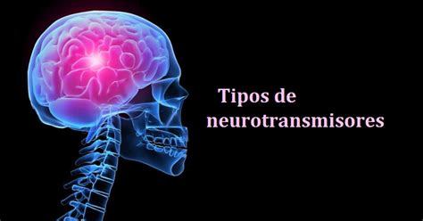 Tipos De Neurotransmisores Funciones Y Clasificaci N