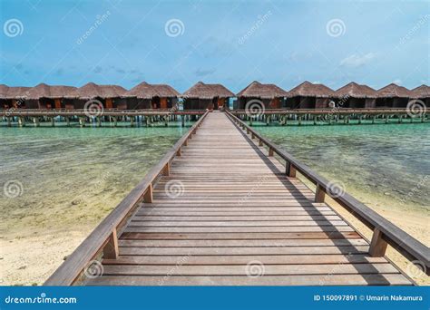 Isla Que Sorprende En Los Maldivas El Chalet Del Agua El Puente De