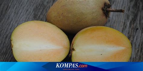 Apakah Boleh Makan Sawo Setiap Hari Berikut Penjelasannya