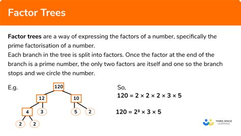 Tree Factor Of 32