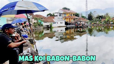 MANCING BORONGAN IKAN MAHAL KOI BABON IDR 5 JUTA BARENG PANJALU