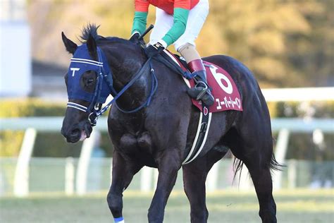 金鯱賞を目指していたユーバーレーベンが左前屈腱部に触診で反応｜競馬ニュース｜競馬予想のウマニティ