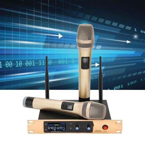 Fdit Système de microphone sans fil UHF double professionnel avec