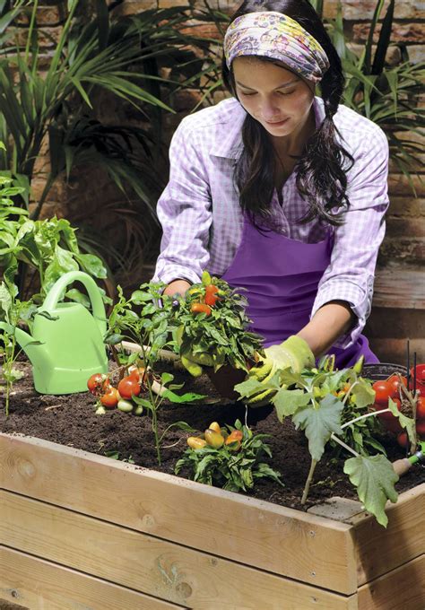 Cuáles Son Las Hortalizas Más Fáciles De Cultivar