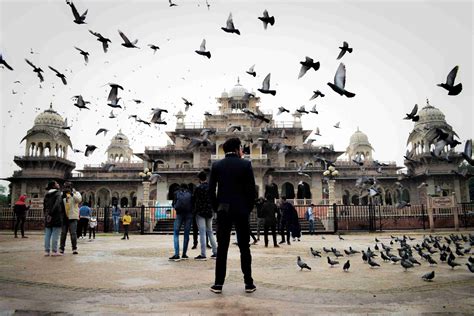 जयपुर के अल्बर्ट हॉल संग्रहालय के बारे में पूरी जानकारी Albert Hall