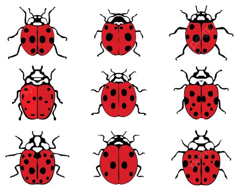 Illustration Of Cheerful Ladybugs Bug Cartoon Graphic Vector Bug