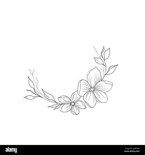 Flowers Periwinkle. Hand drawing. Outline. On a white background. Beautiful sketch of a tattoo ...