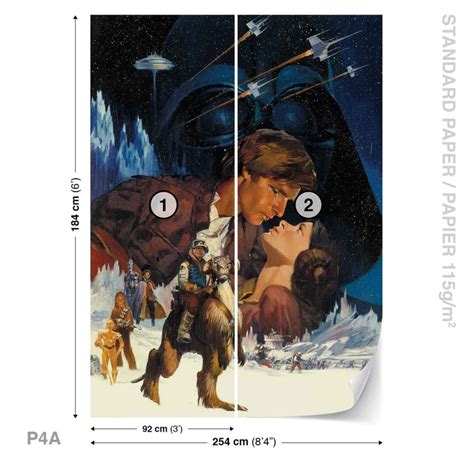 Star Wars Empire Strikes Back Wall Paper Mural Buy At EuroPosters