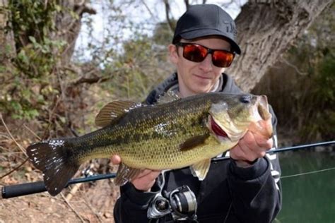 Pesca Del Black Bass En Oto O Se Uelos Y T Cnicas A Utilizar