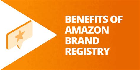 Amazon Brand Registry The Complete Guide Infographic The