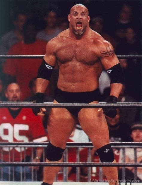 Goldberg Wwe 725x948 Wallpaper Teahub Io